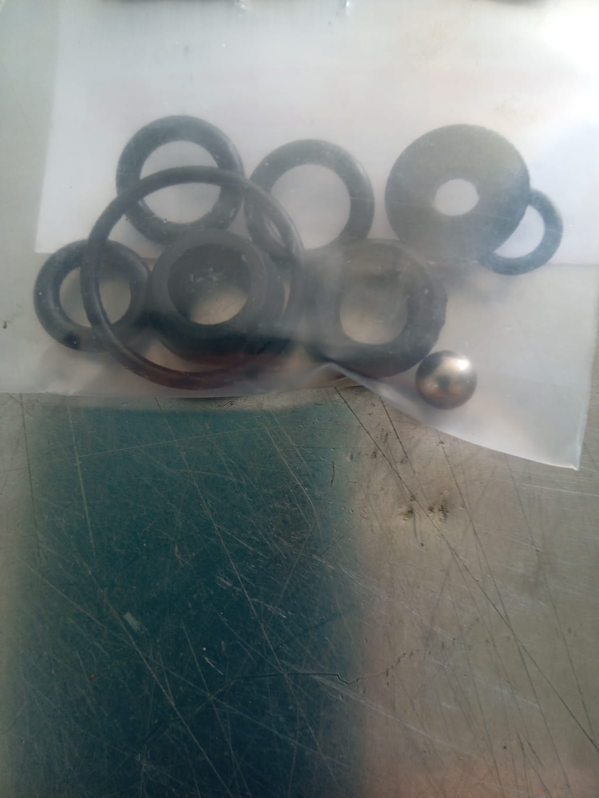 Reparo Pulverizador Brudden SS G2