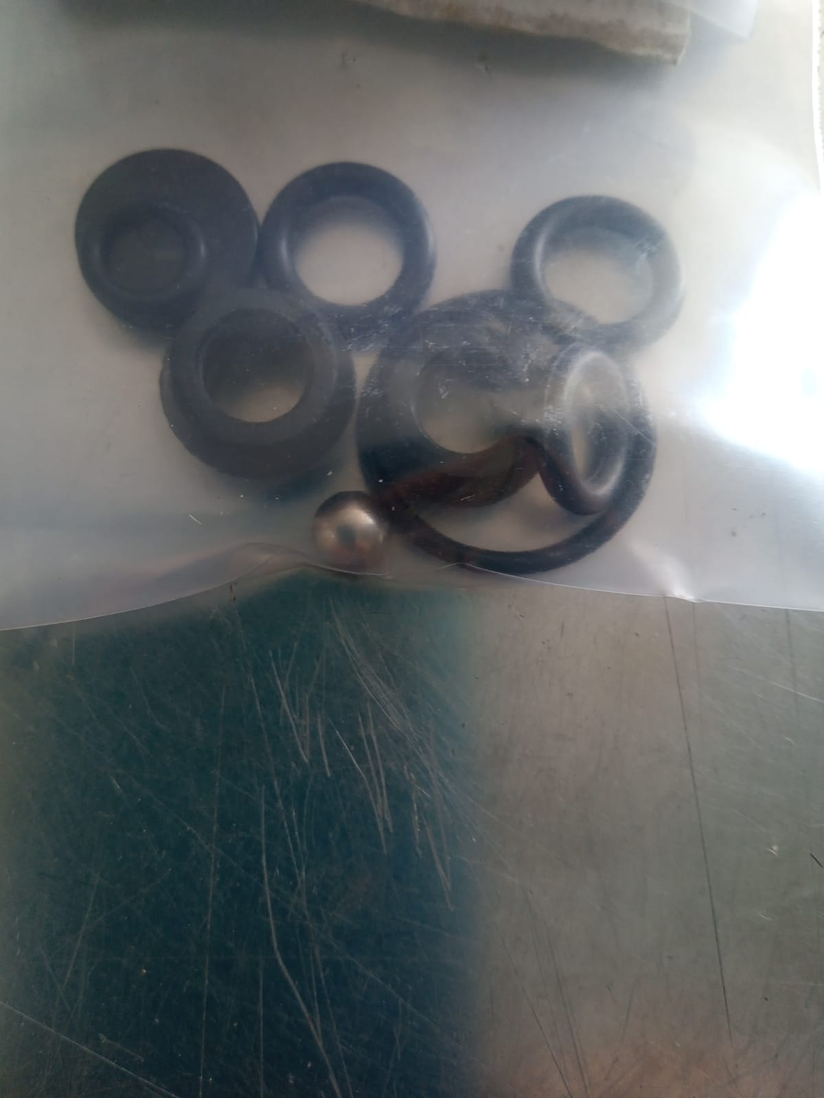 Reparo Pulverizador Brudden SS G2